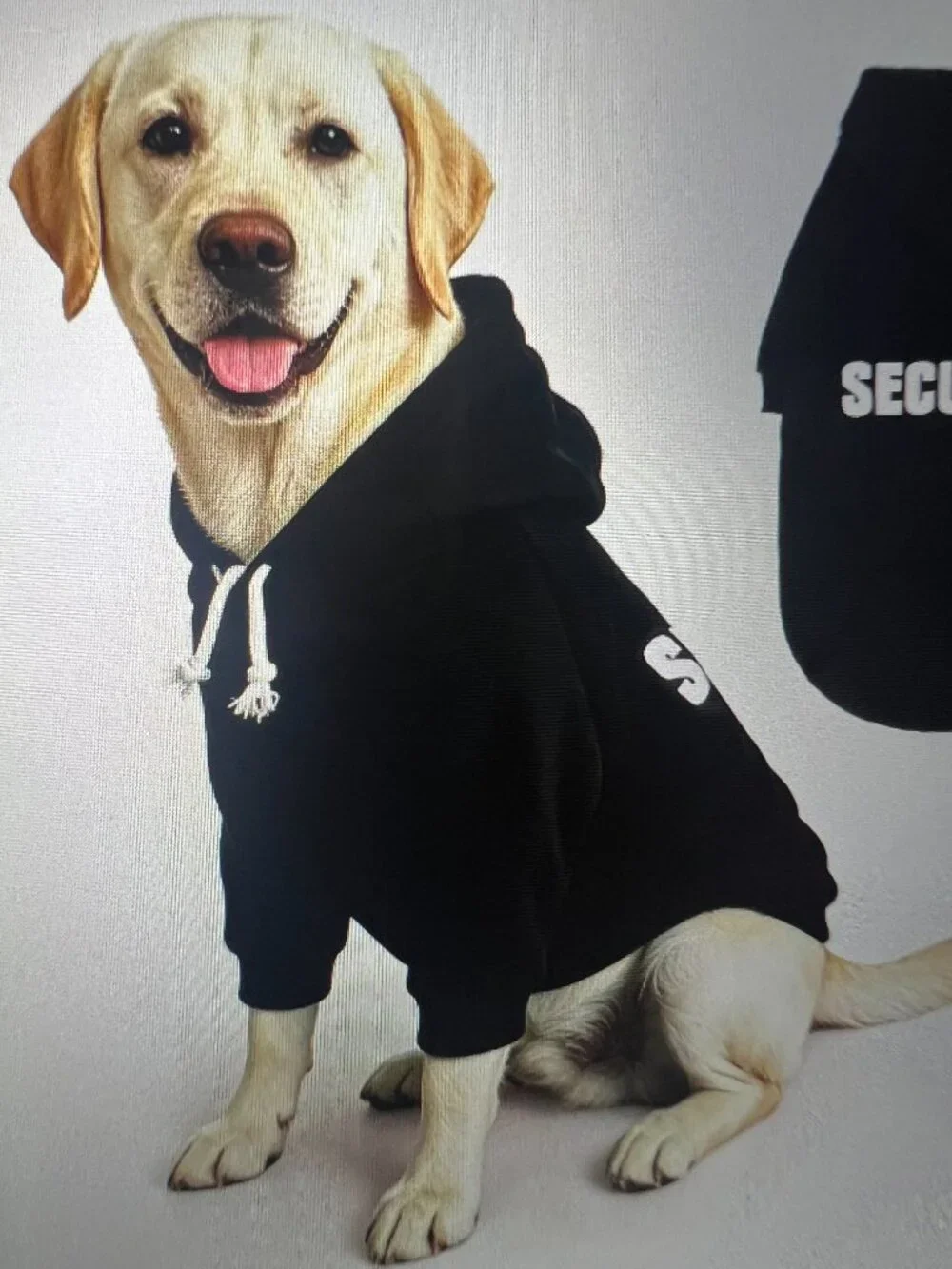 Security Dog Hoodie (size XL)